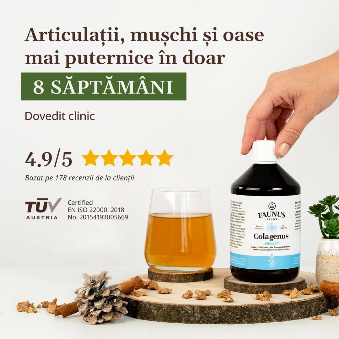 Colagen lichid pentru muschi si ligamente Colagenus Articulatii, 500ml, Faunus Plant